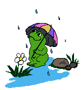 rainy day froggy
