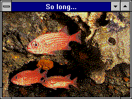 fishies